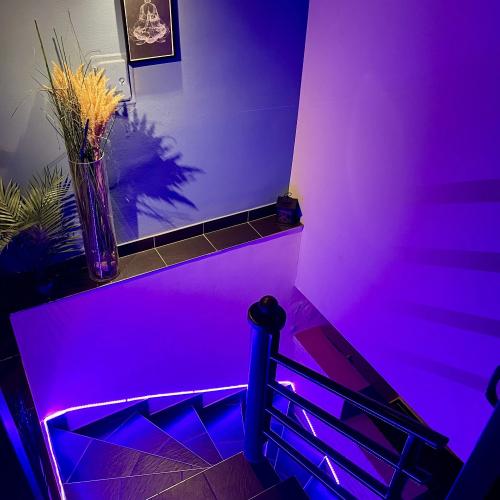 Euphoria Massage — erotic venue in Budapest
