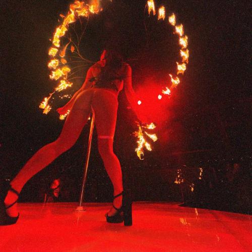 Club Pink Pony — erotic venue in Miami, photo 6
