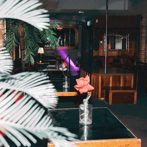 The Barclay Club — Erotik-Location in Dublin, Foto 9