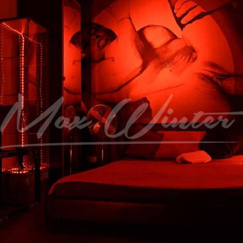 Laufhaus Max Winter — erotic venue in Vienna, photo 3