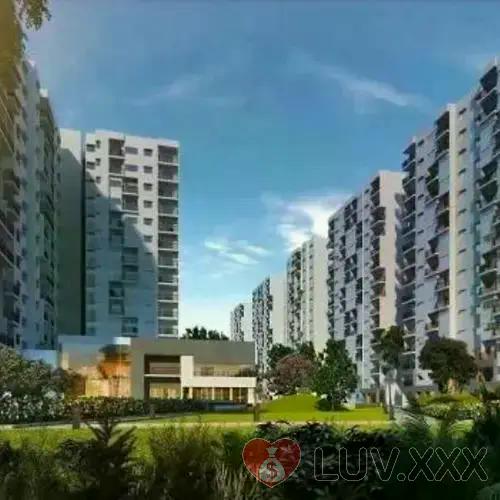 Spacious and Thoughtfully Designed Apartments