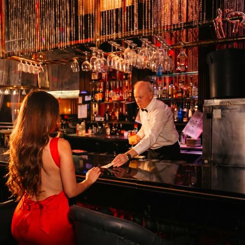 The Ritz Houston — erotický podnik v Houston, foto 9