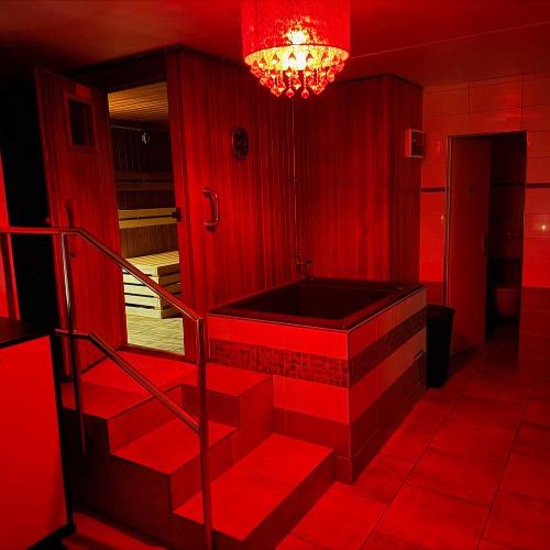 Red Carpet — erotic venue in Basel, photo 6