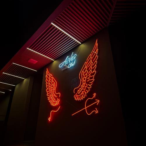 Asha Club Rio — lokal erotyczny w Rio de Janeiro, zdjęcie 15