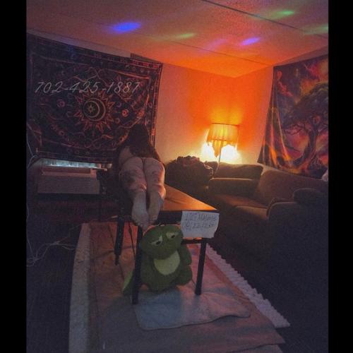Malone Dmv — eskort v meste Orlando