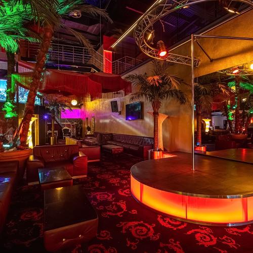 Fkk Sharks — erotic venue in Darmstadt