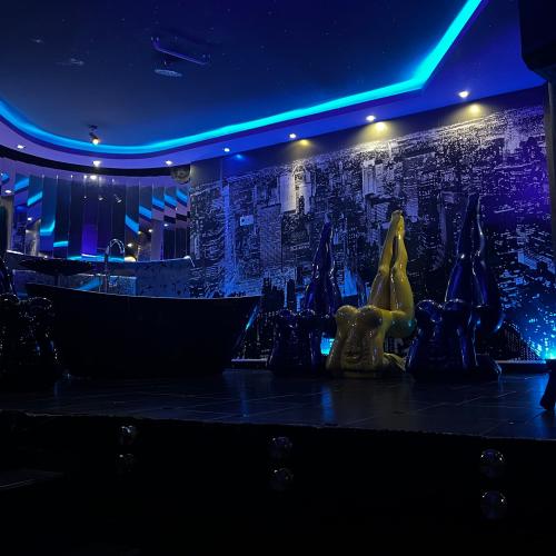 Showgirls Budapest Vip Lounge & Bar — erotic venue in Budapest