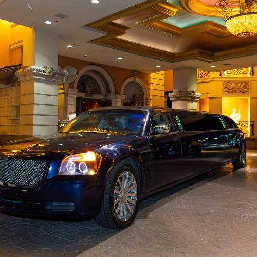 Treasures Gentlemen's Club — erotický podnik v Las Vegas
