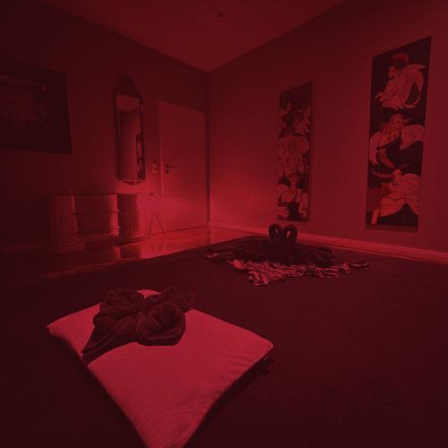 Velvet Massage — erotic venue in Frankfurt, photo 5