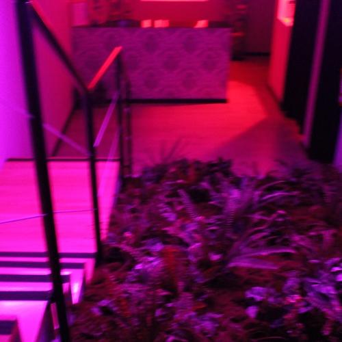 Glow Swing Club — erotic venue in Ermesinde