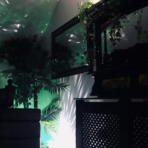 Purple Mamba Club — erotic venue in Nottingham