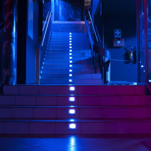 Wasabi Lap Dance — erotic venue in Cuneo