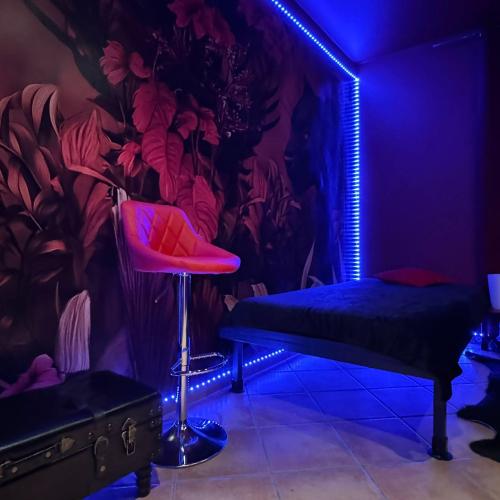 Pussycat — erotic venue in Frankfurt, photo 5