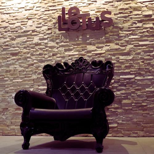 Le Lotus — locale erotico a Reims
