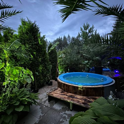 Jacuzzi Club & Resort — erotický podnik v meste Gdansk