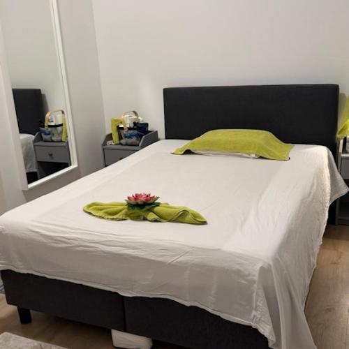 Sura Thai Massage — erotic venue in Brussels