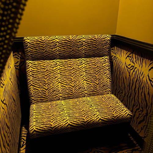 Cheetah Premier Gentlemen's Club — erotic venue in Raleigh