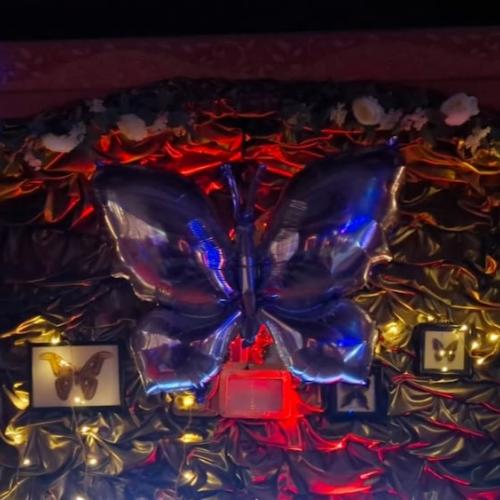 Papillon Sauna — erotic venue in Vienna