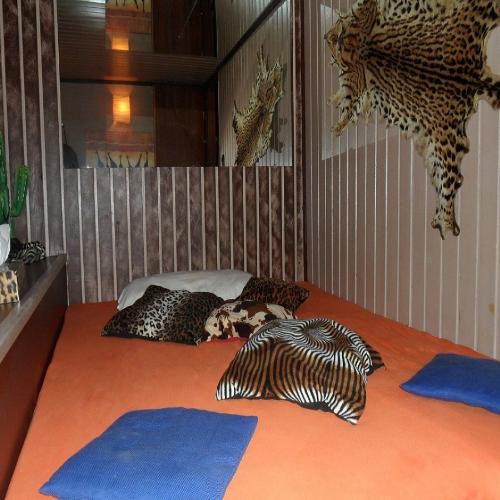 Big Spender — erotic venue in Kassel
