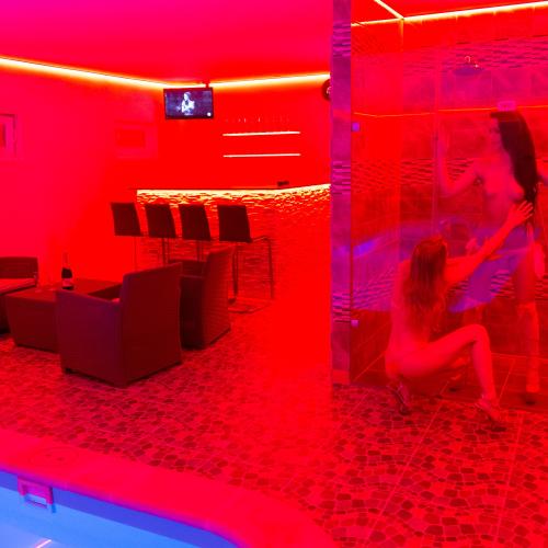 Night Club Piranha — erotic venue in Brno