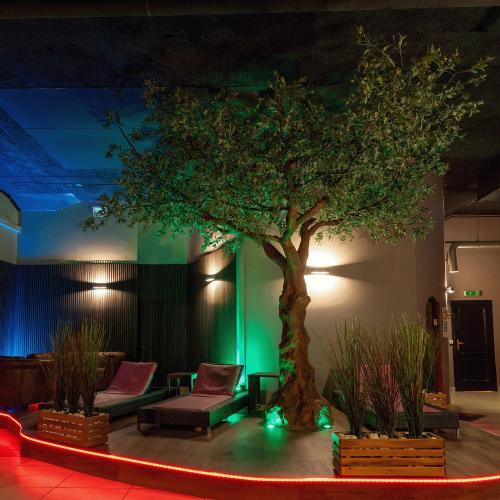 Sex Park — erotisk utested i Aarau, bilde 4