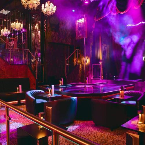 Rhino At The Windmill — erotic venue in London