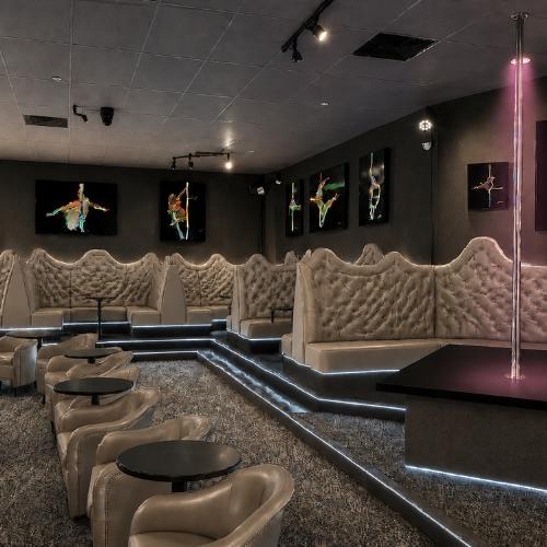 Platinum Showgirls La — erotic venue in Los Angeles, photo 5