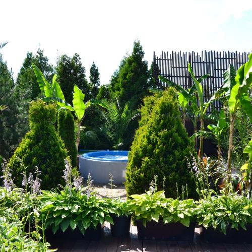 Jacuzzi Club & Resort — erotický podnik v meste Gdansk