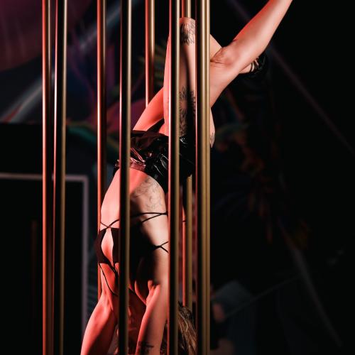 The Pynk — Erotik-Location in Durban, Foto 2