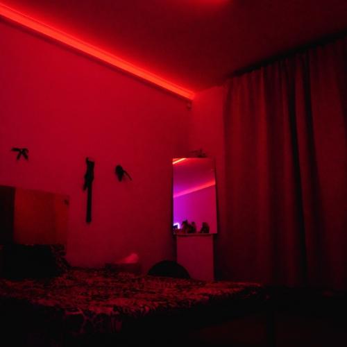 Eroscenter 55 — établissement érotique à Francfort