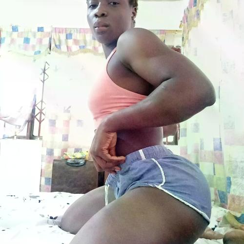 Stecia