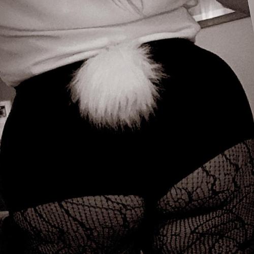 Taylormae Xxx — escort in Portland