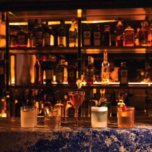 Rhino At The Windmill — erotic venue in London