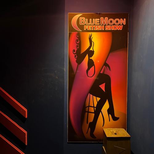 Blue Moon — erotic venue in Rome, photo 4