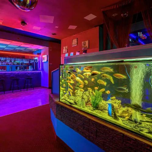 Night Club Paris — erotický podnik v Poprad