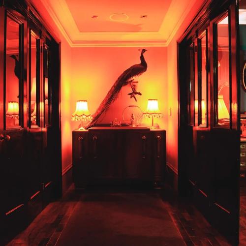 23 Paul Street — erotic venue in London