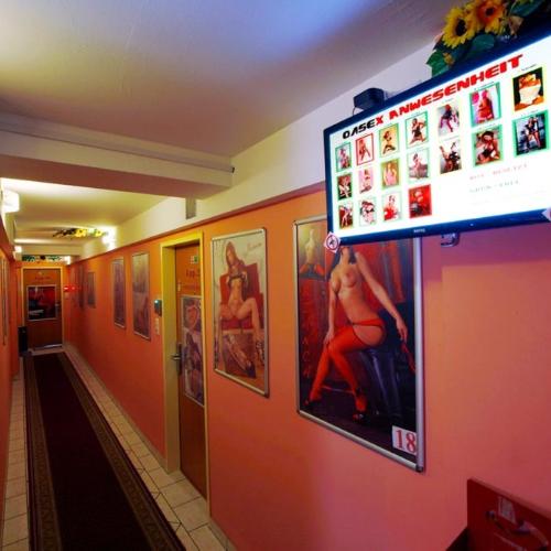 Laufhaus Prankergasse 21 — erotikus hely itt: Graz