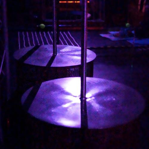 Kinky Kingdom — 토리노 성인 업소