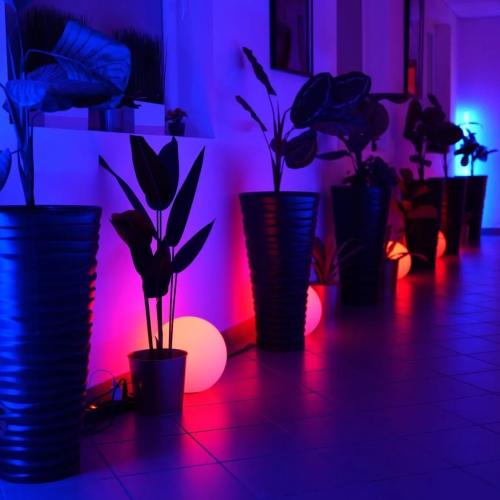 Labirintus Swingerklub — erotic venue in Budapest